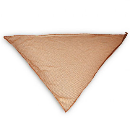 Picture of JESSAMY RED TUL TRIANGULO R 55.