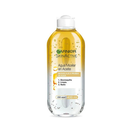 Picture for category GARNIER
